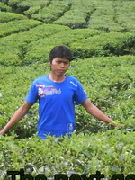 Dsc01178 (1) 003
